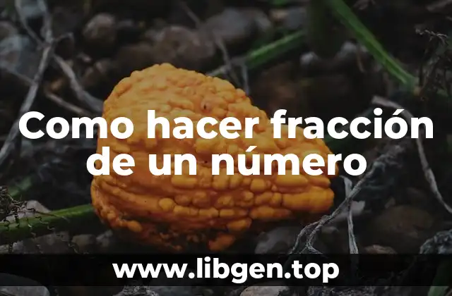 ¿Qué es una fracción de un número?