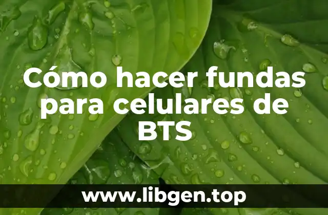 Cómo hacer fundas para celulares de BTS