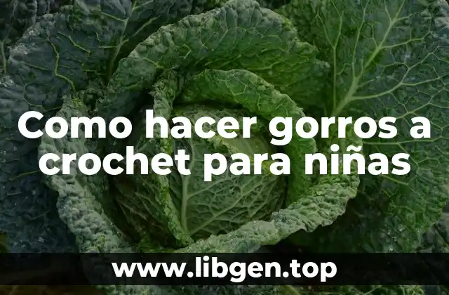 Como hacer gorros a crochet para niñas
