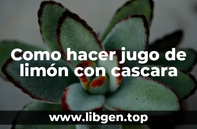 Como hacer jugo de limón con cascara