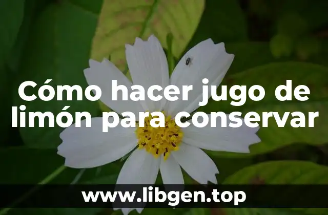 Cómo hacer jugo de limón para conservar