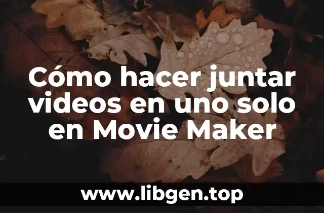 ¿Qué es Movie Maker y cómo se utiliza?