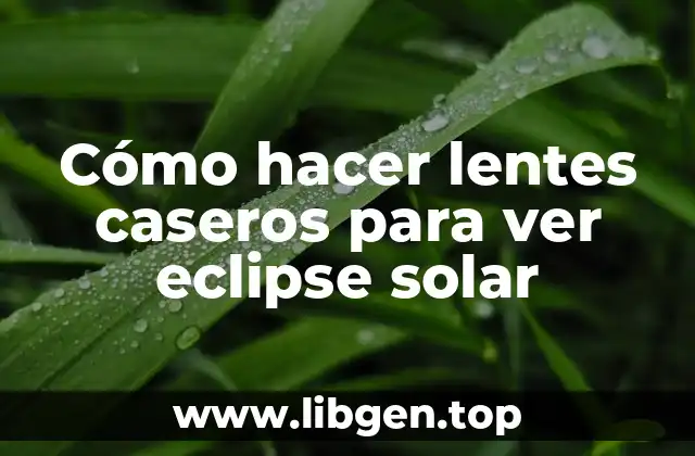 Cómo hacer lentes caseros para ver eclipse solar