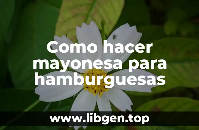 Como hacer mayonesa para hamburguesas