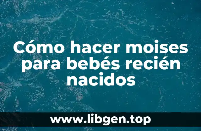 Cómo hacer moises para bebés recién nacidos