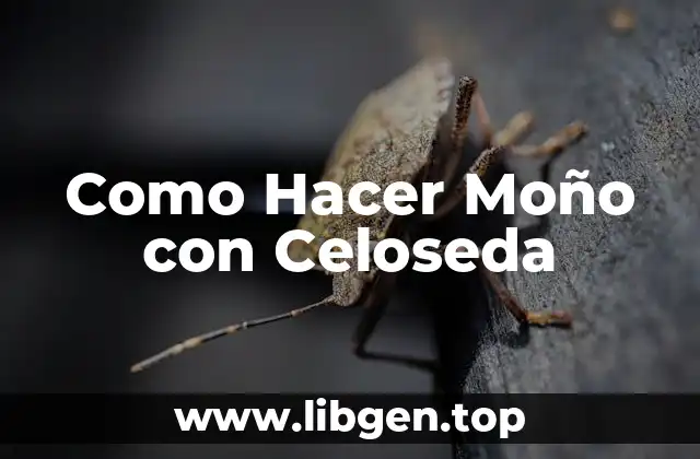 Como Hacer Moño con Celoseda