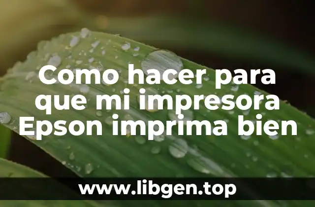Como hacer para que mi impresora Epson imprima bien
