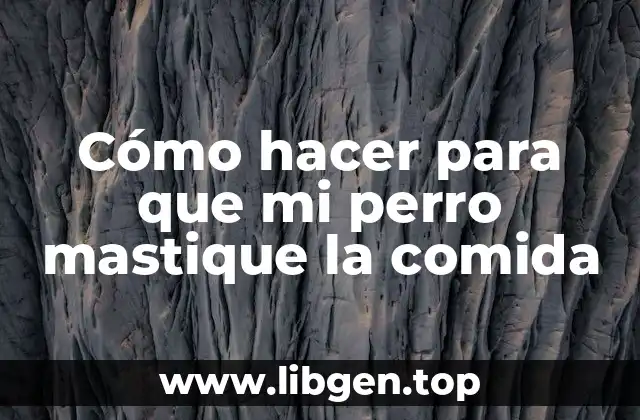 Cómo hacer para que mi perro mastique la comida