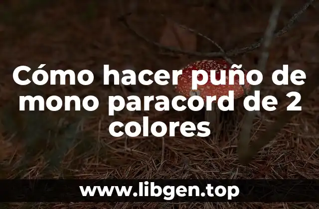 Cómo hacer puño de mono paracord de 2 colores