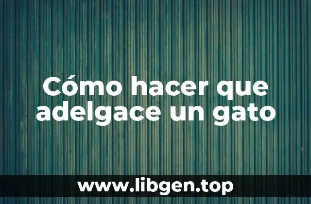 Cómo hacer que adelgace un gato