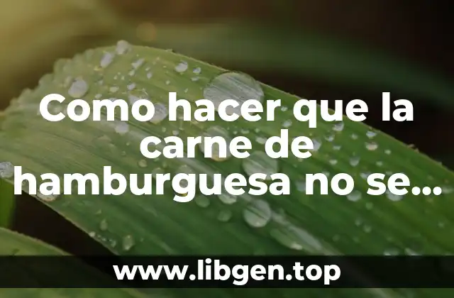 ¿Qué es la carne de hamburguesa y cómo se rompe al cocinar?