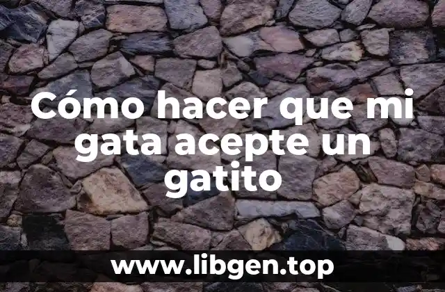 Cómo hacer que mi gata acepte un gatito