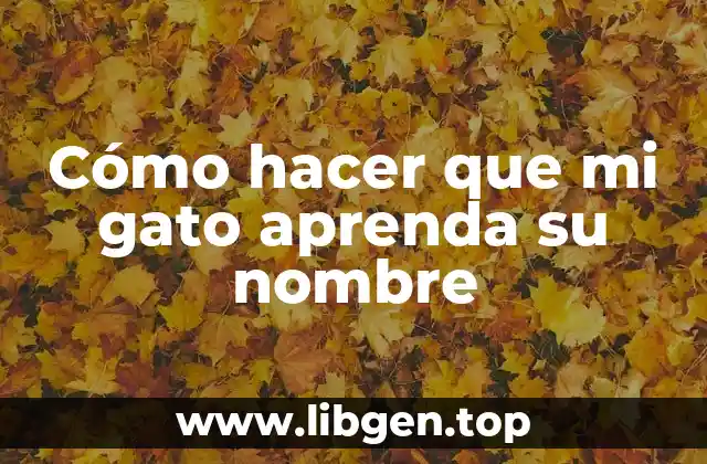 Cómo hacer que mi gato aprenda su nombre