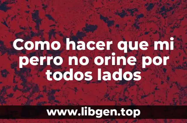 Como hacer que mi perro no orine por todos lados
