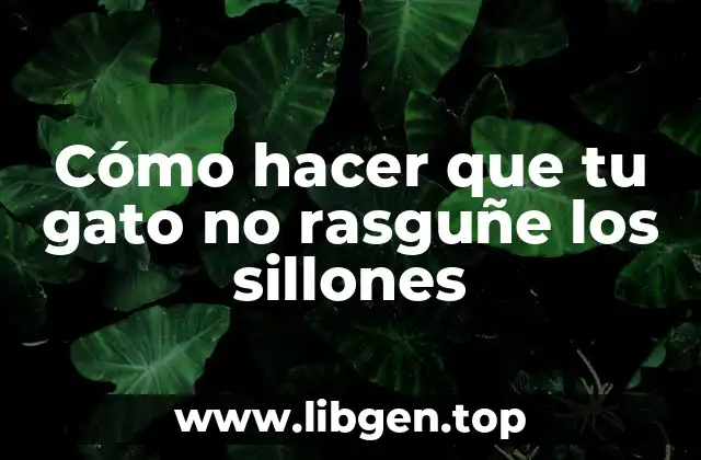 Cómo hacer que tu gato no rasguñe los sillones