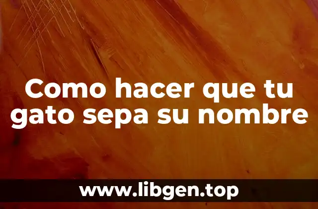¿Qué es enseñar a tu gato su nombre y por qué es importante?
