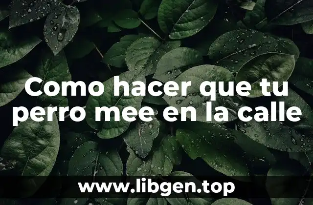 Como hacer que tu perro mee en la calle