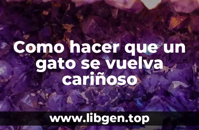 Como hacer que un gato se vuelva cariñoso