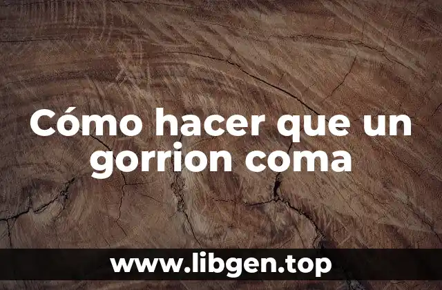 Cómo hacer que un gorrion coma