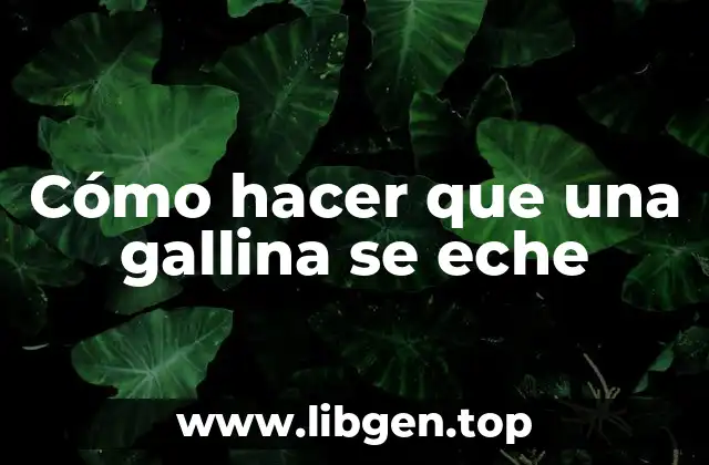 Cómo hacer que una gallina se eche