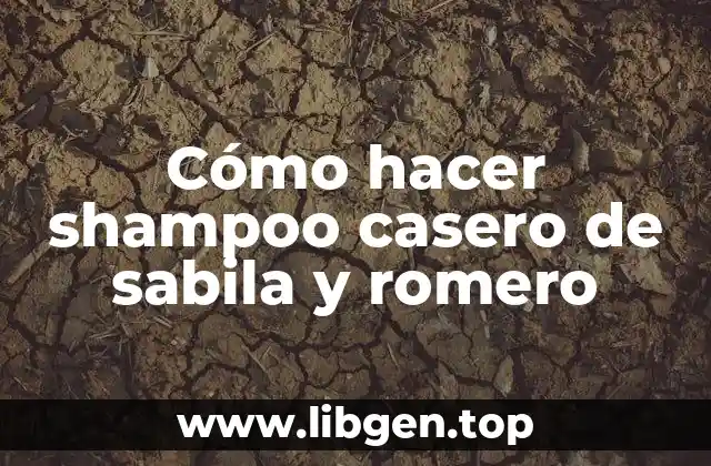 Cómo hacer shampoo casero de sabila y romero
