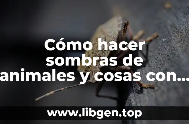 Cómo hacer sombras de animales y cosas con mano