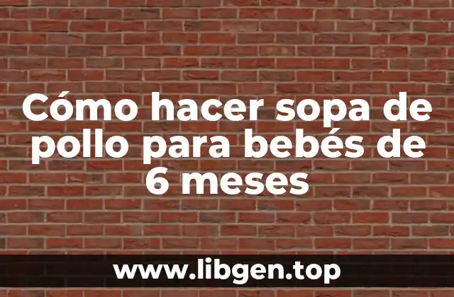 ¿Qué es la sopa de pollo y para qué sirve?