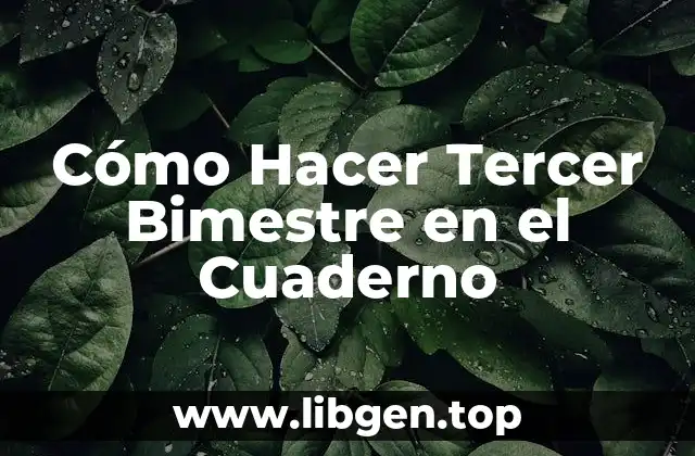 Cómo Hacer Tercer Bimestre en el Cuaderno