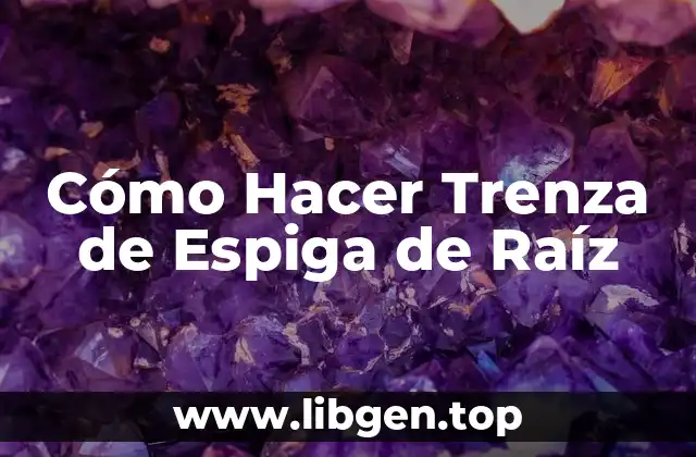 Cómo Hacer Trenza de Espiga de Raíz