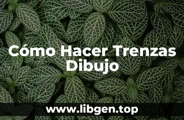 Cómo Hacer Trenzas Dibujo