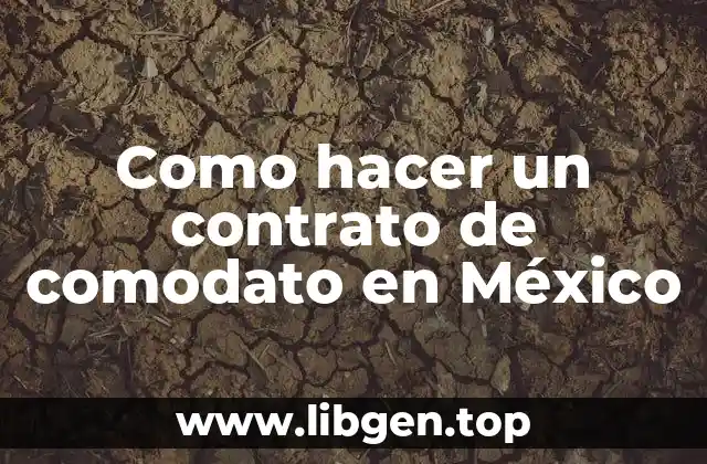Como hacer un contrato de comodato en México