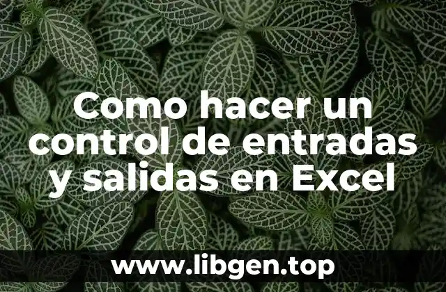 Como hacer un control de entradas y salidas en Excel