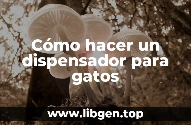Cómo hacer un dispensador para gatos