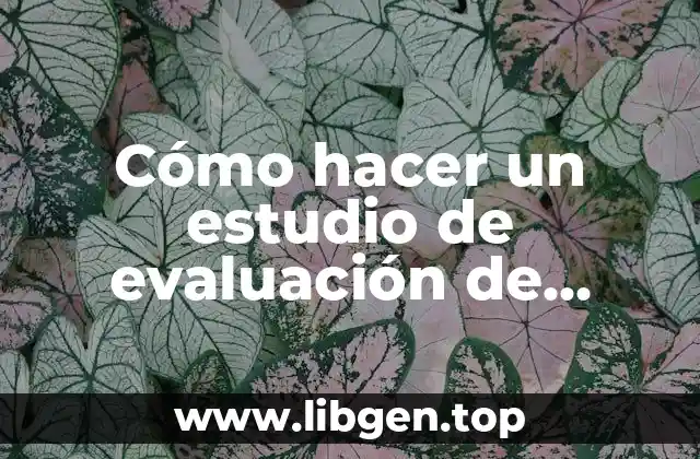 Cómo hacer un estudio de evaluación de impacto ambiental