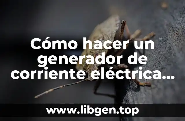 Cómo hacer un generador de corriente eléctrica casero