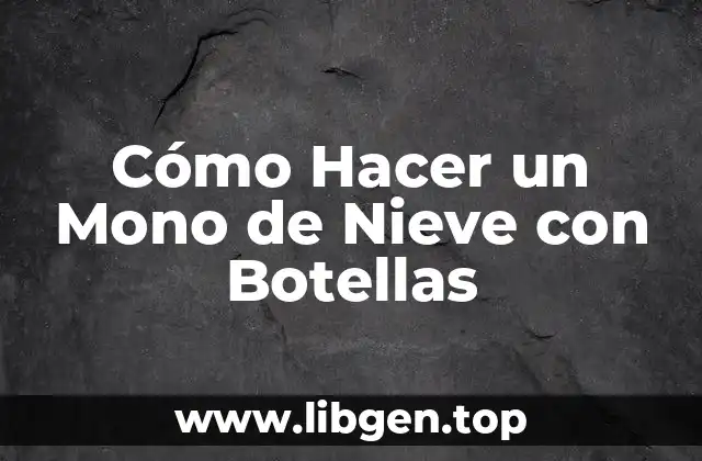 Cómo Hacer un Mono de Nieve con Botellas