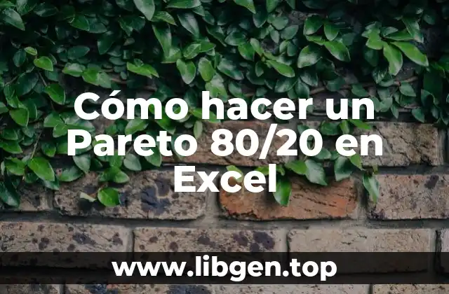 Cómo hacer un Pareto 80/20 en Excel