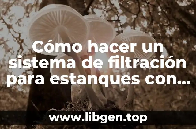 Cómo hacer un sistema de filtración para estanques con peces koi