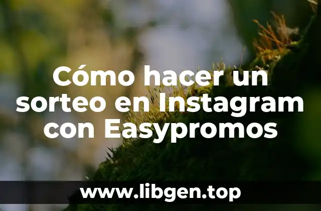 Cómo hacer un sorteo en Instagram con Easypromos