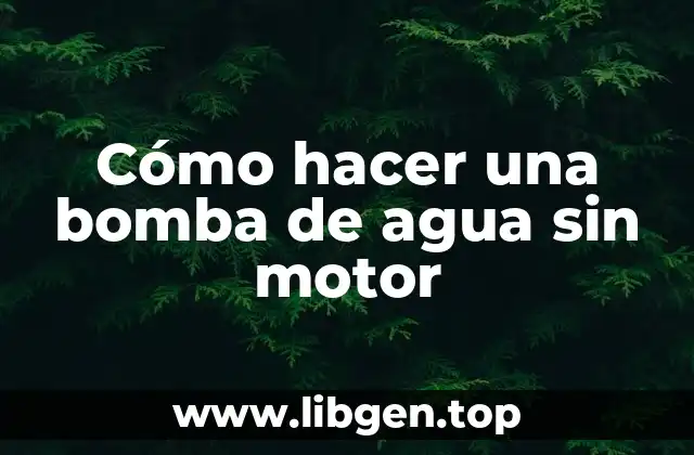 Cómo hacer una bomba de agua sin motor