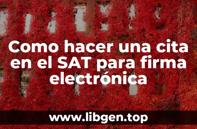 ¿Qué es una cita en el SAT para firma electrónica y para qué sirve?