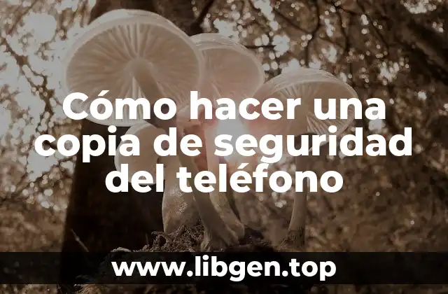 Cómo hacer una copia de seguridad del teléfono