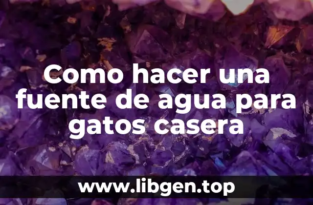 Como hacer una fuente de agua para gatos casera