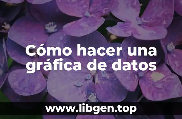 Cómo hacer una gráfica de datos