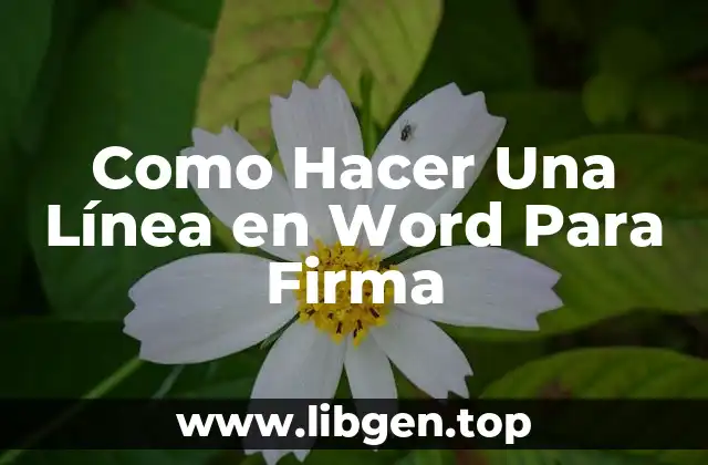 ¿Qué es una Línea en Word para Firma Digital?