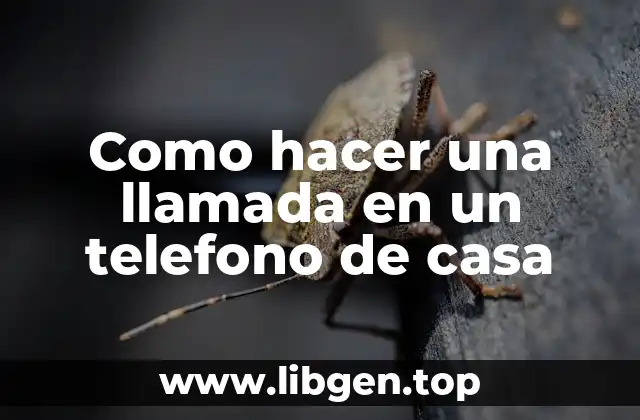 Como hacer una llamada en un telefono de casa