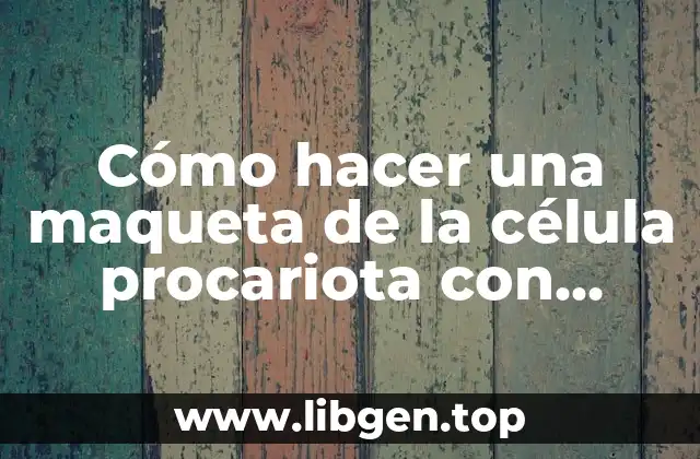 Cómo hacer una maqueta de la célula procariota con botella