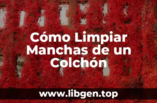 Cómo Limpiar Manchas de un Colchón