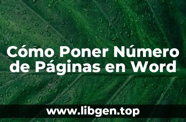 Cómo Poner Número de Páginas en Word