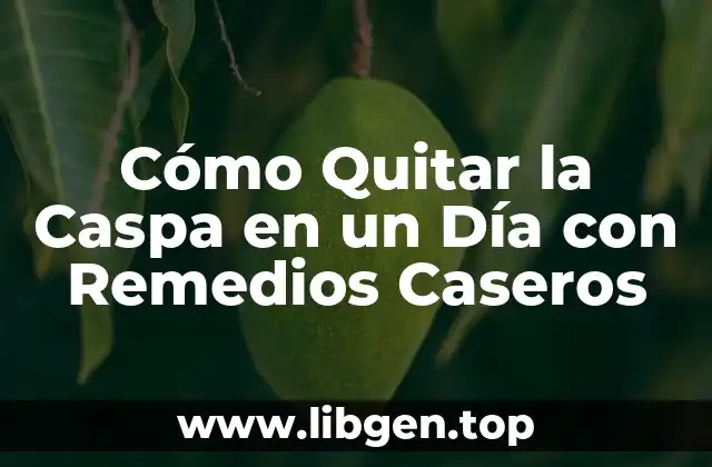 Cómo Quitar la Caspa en un Día con Remedios Caseros